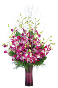10 Orchid in a Vase cake delivery Delhi